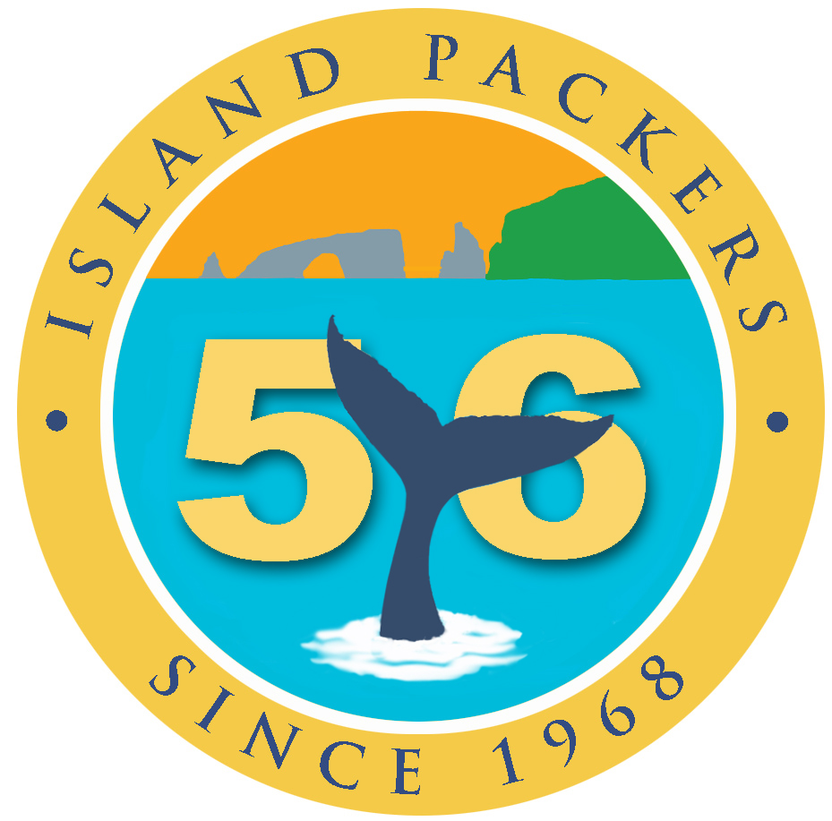 Island Packers logo with whale tail, sea arch, and '56'.