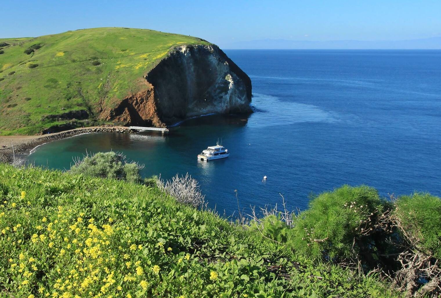 Island Packers Cruises | Channel Islands National Park Island Packers Cruises | Channel Islands National Park