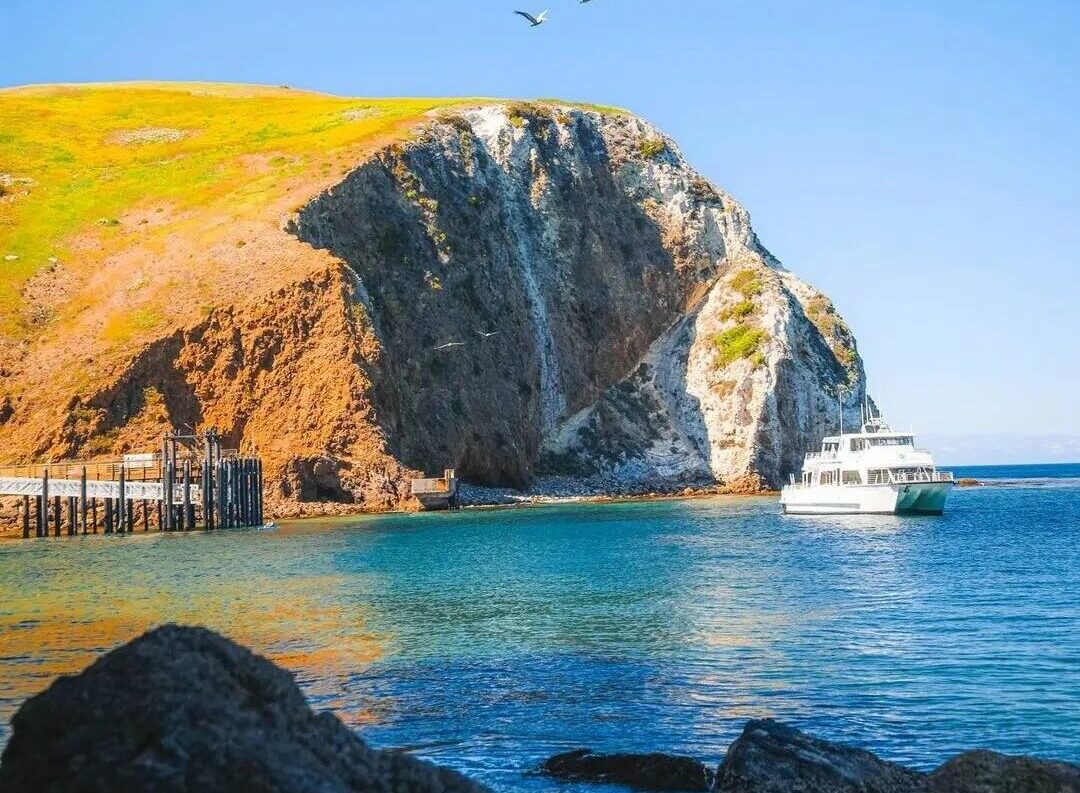 Island Packers Cruises | Channel Islands National Park Island Packers Cruises | Channel Islands National Park