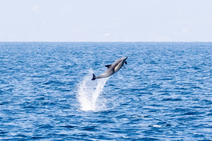 a man flying through the air over a body of water