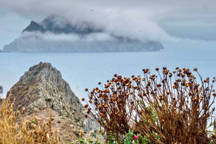 a large mountain in the background