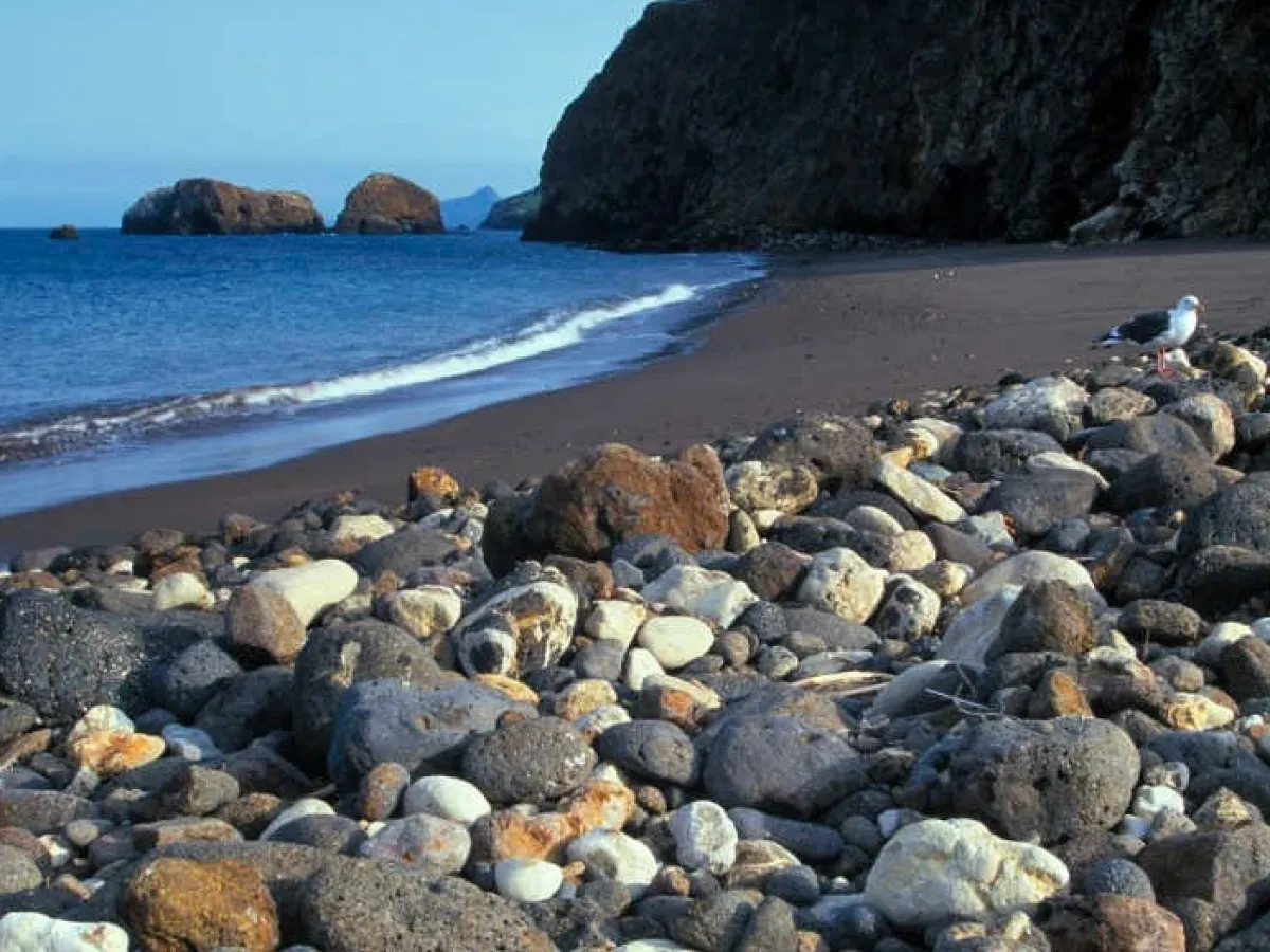 a rocky beach next to a body of water