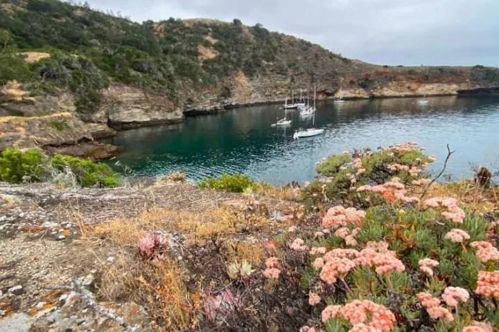 a rocky shore next to a body of water