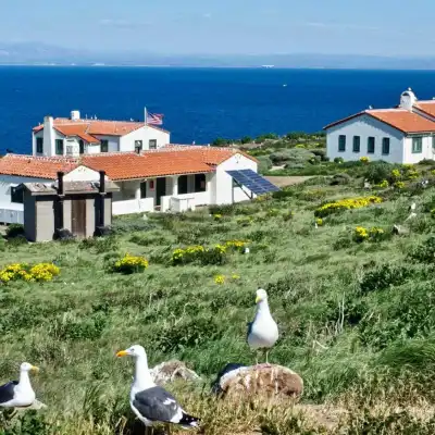 a flock of birds sitting on top of a body of water
