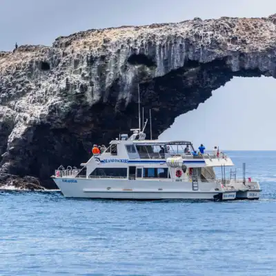 a large ship in a body of water with a mountain in the background