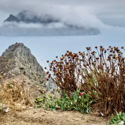 a man standing in front of a body of water