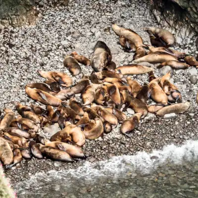 a group of men lying down on a rock