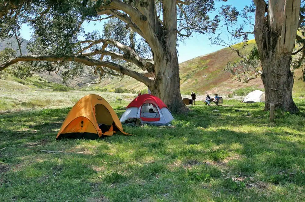 dm-campsite2 (1) dm-campsite2 (1)