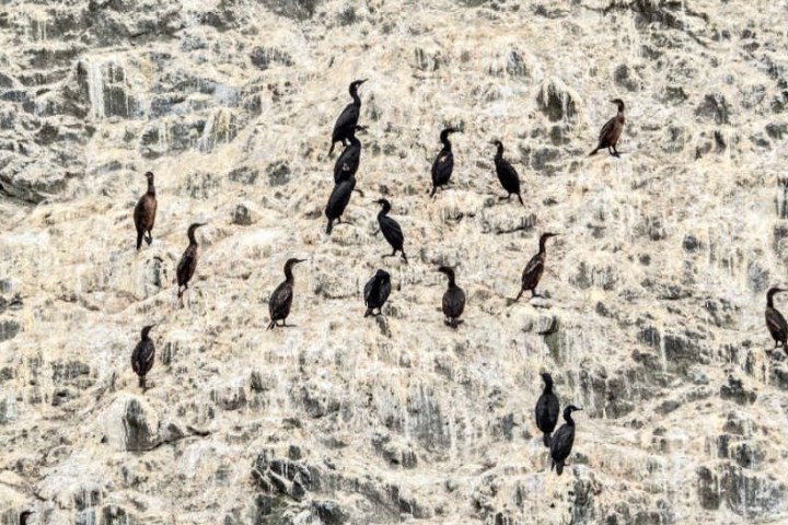 a group of people in a field