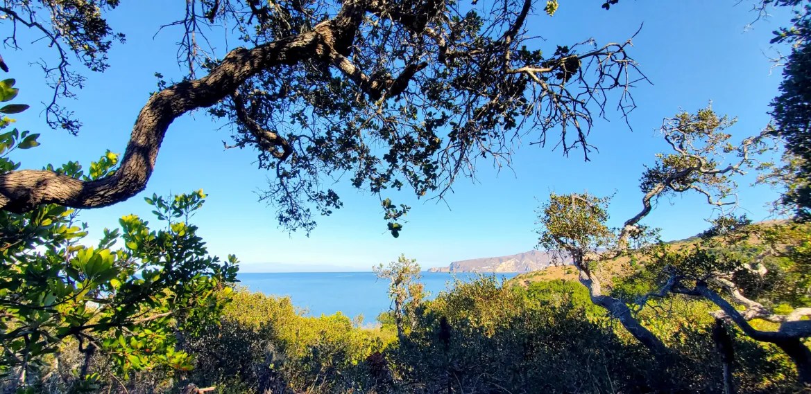 20231102_141656-scaled