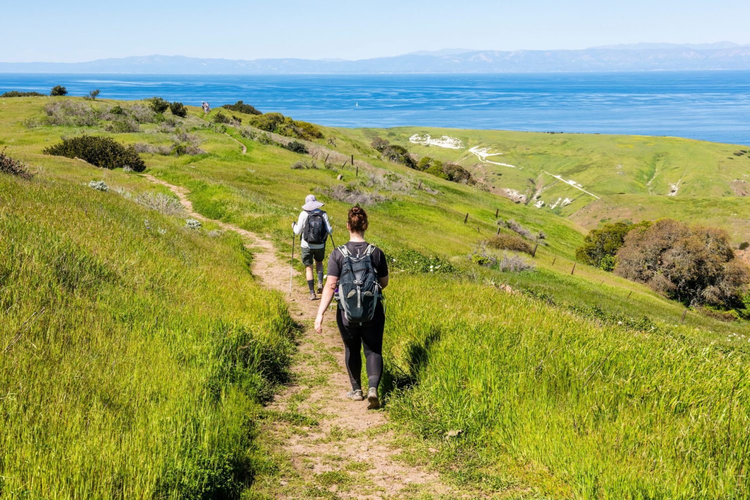 a group of people standing on a lush green hillside