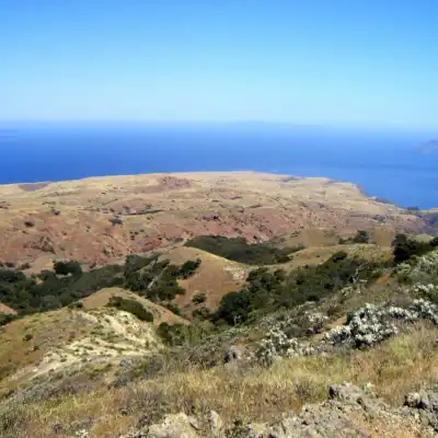 a close up of a hillside