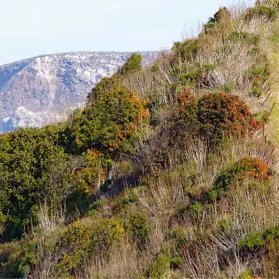 a body of water with a mountain in the background