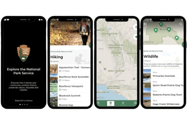 graphical user interface, application