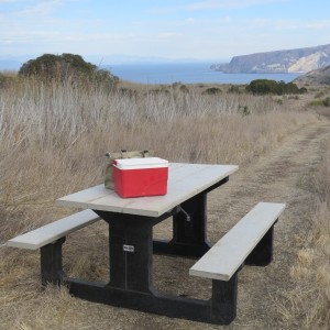 a bench next to a body of water