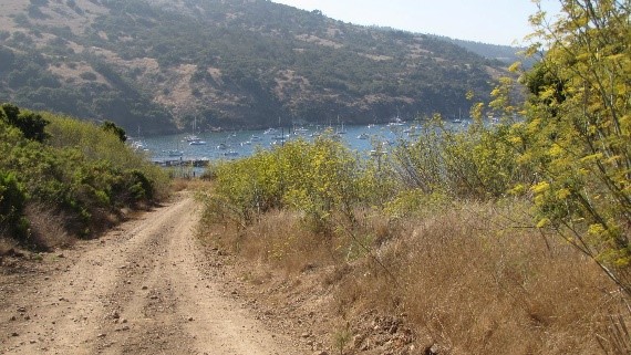 a dirt path next to a body of water