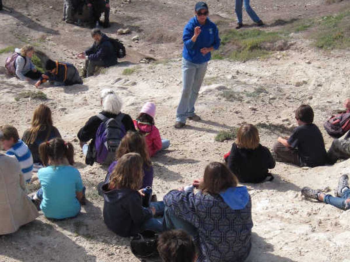 a group of people sitting at a beach