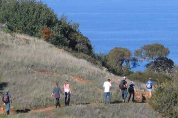 a group of people walking up a hill