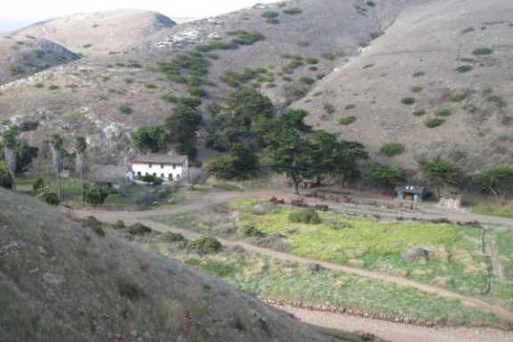 a close up of a hillside