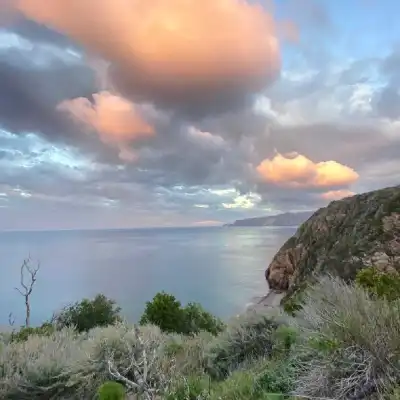a close up of a hillside next to a body of water