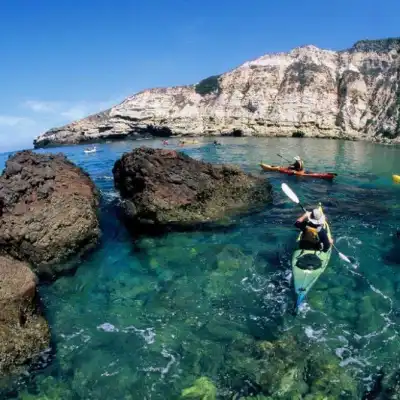 a close up of a rock next to a body of water