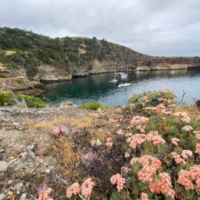 a large body of water