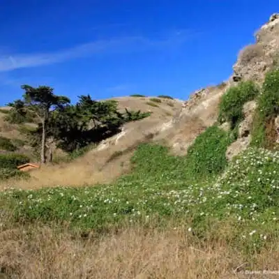 a close up of a rocky mountain