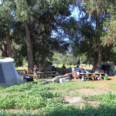 a group of people in a garden