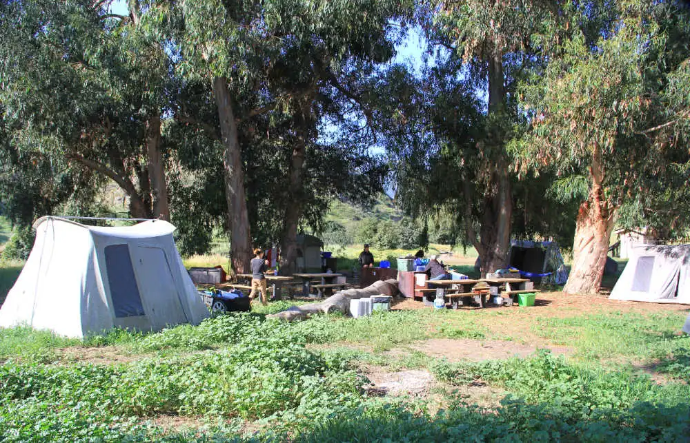 a group of people in a garden