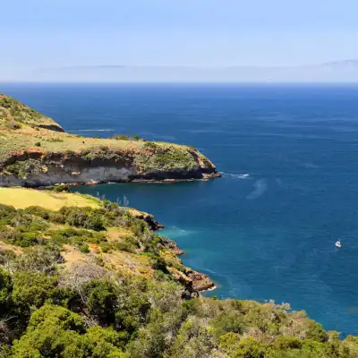 a close up of a hillside next to a body of water