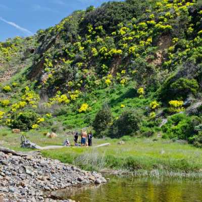 a large body of water