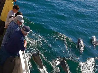 a group of people on a boat in the water