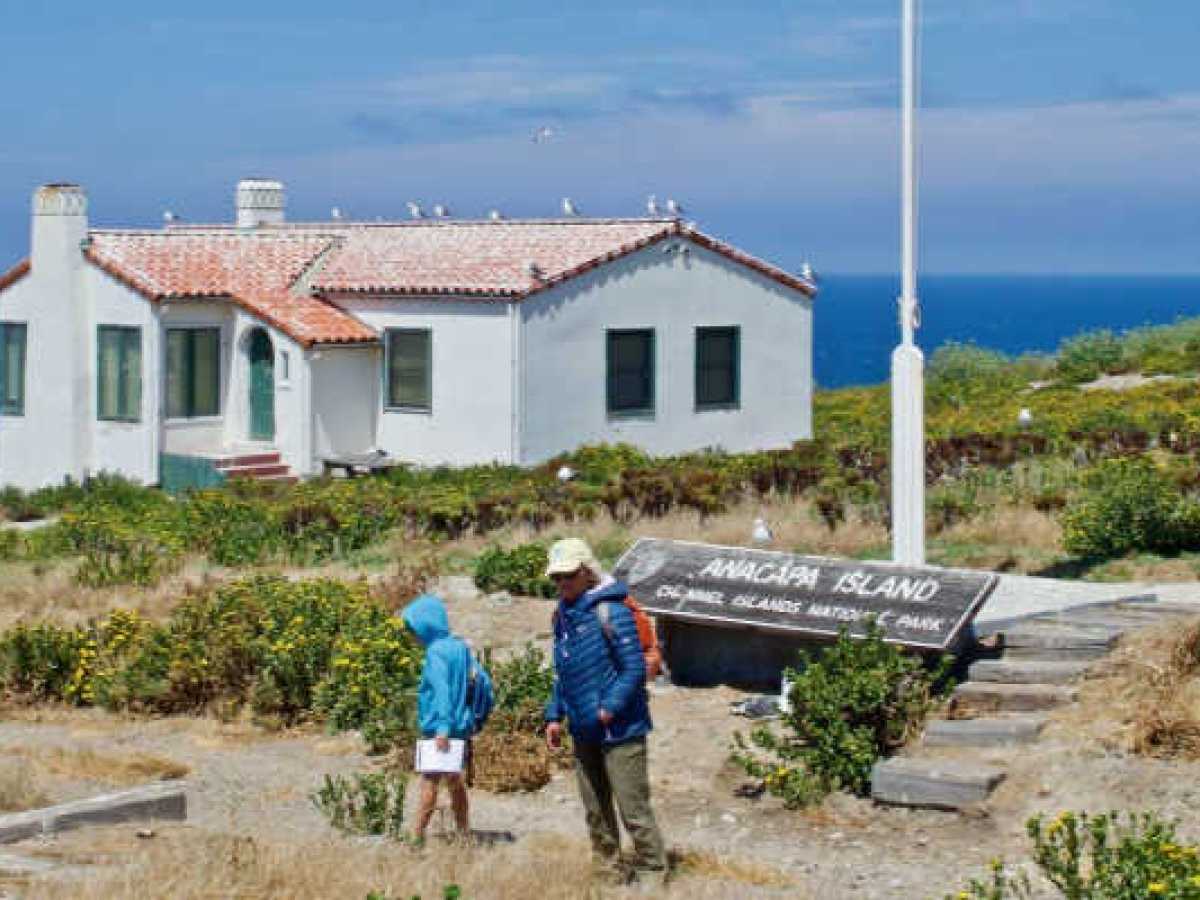 a person standing in front of a house