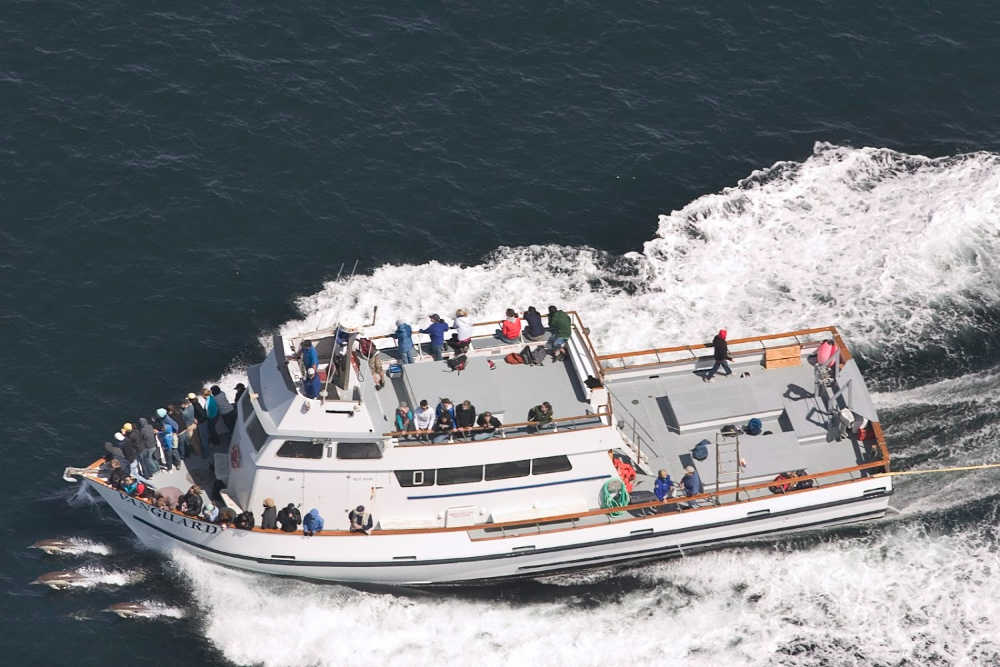 a group of people on a boat in the water