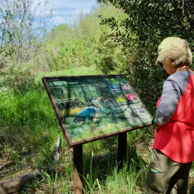 a person on a bench in a park