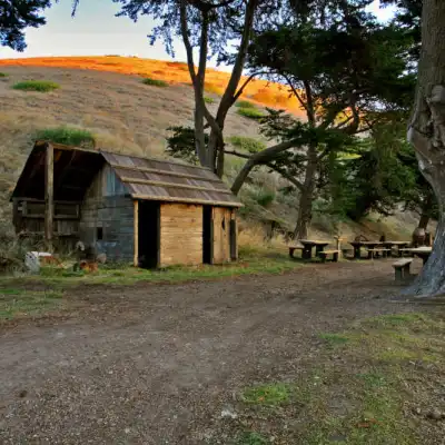 a tree in front of a house
