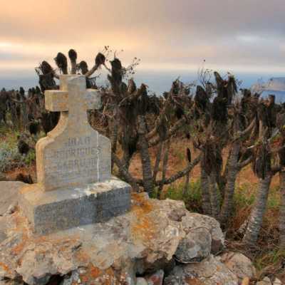 a canyon with a large rock
