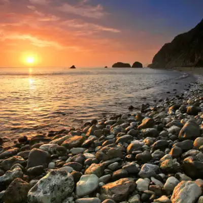 a flock of seagulls standing on a rocky beach