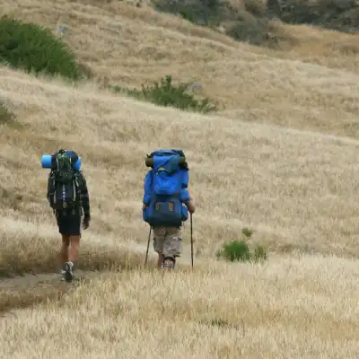 a blue fire hydrant in the middle of a field