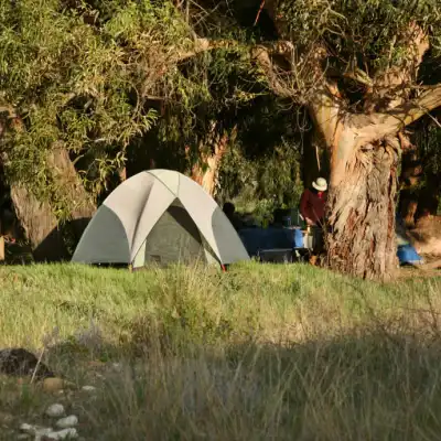 a tent in a field