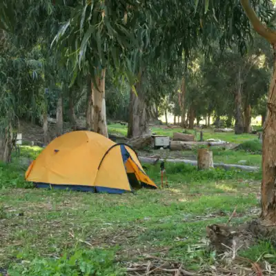 a tent in a field flying a kite