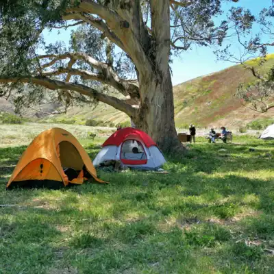a tent in a grassy area
