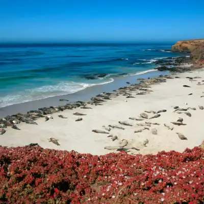 a rocky beach next to the ocean