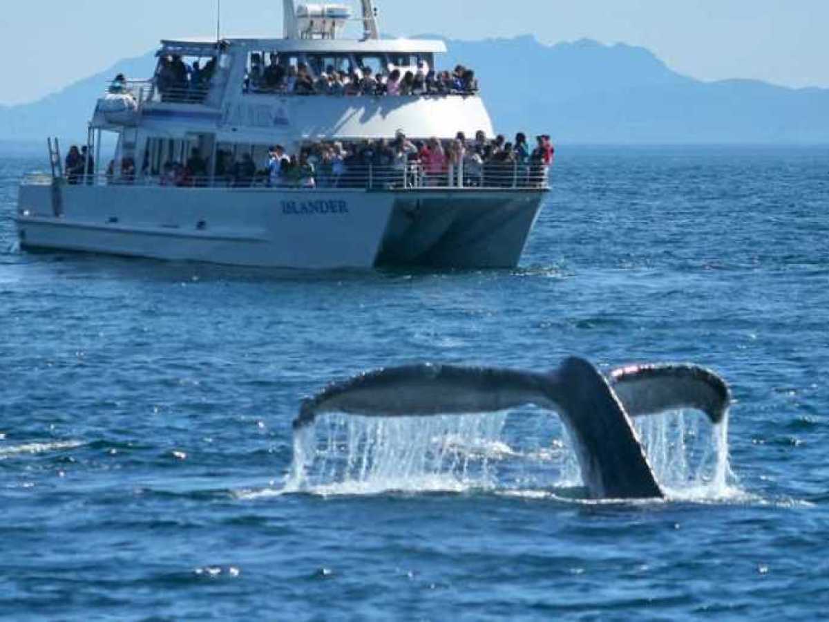 a small boat in a large body of water
