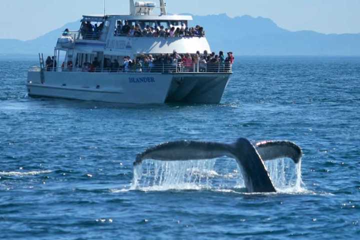 a small boat in a large body of water