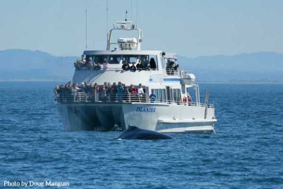 a large ship in a body of water