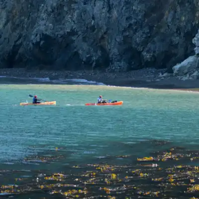 a group of people rowing a boat in a body of water