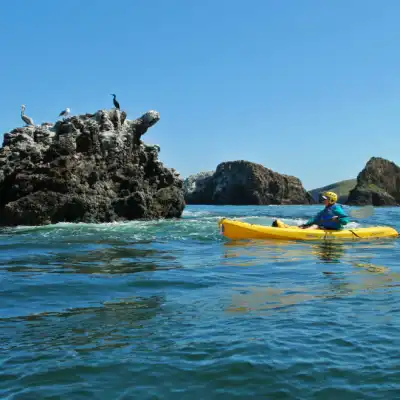 a group of people swimming in a body of water