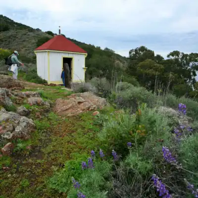a house with a mountain in the background