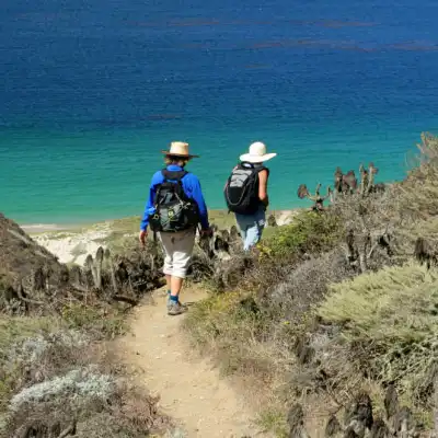 a group of people walking down a dirt road near water